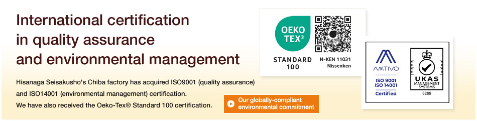 International Certification in Quality Assurance and Environmental Management